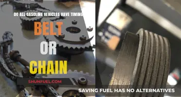 Exploring the Mechanics: Timing Belts vs. Chains in Gasoline Vehicles