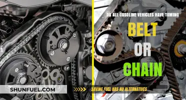 Exploring the Mechanics: Timing Belts vs. Chains in Gasoline Vehicles
