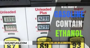 Exploring Ethanol Content Across Various Gasoline Grades