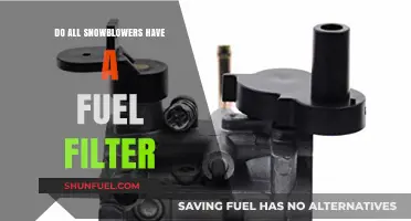 Snowblowers: Fuel Filters, Are They Universal?