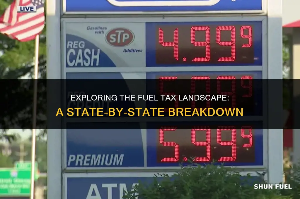 do all states have gasoline tax