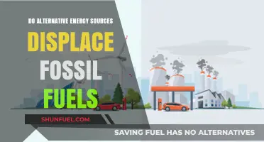 Alternative Energy: Friend or Foe to Fossil Fuels?