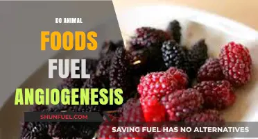 Animal Foods and Angiogenesis: Uncovering the Link to Blood Vessel Growth