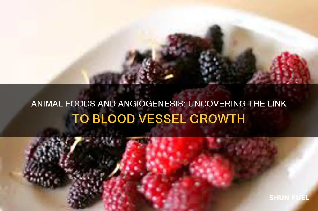 do animal foods fuel angiogenesis