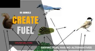 Can Animals Produce Energy? Exploring Nature's Fuel-Creating Capabilities