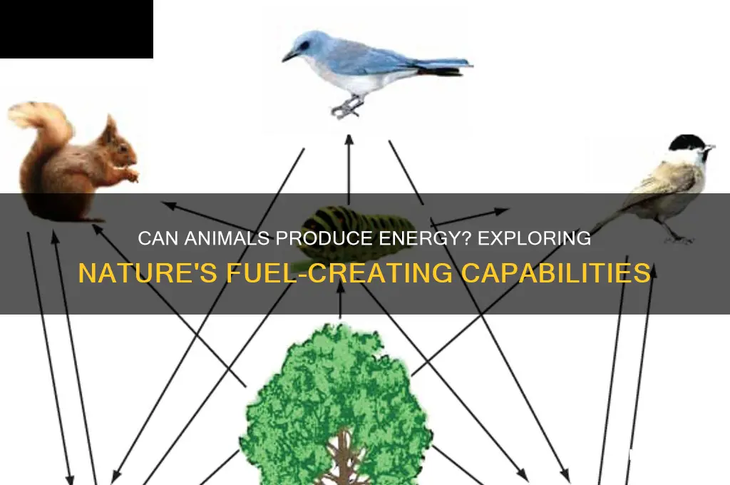 do animals create fuel