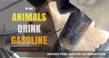 Do Any Animals Drink Gasoline? Unveiling Nature's Surprising Secrets