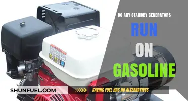 Exploring Fuel Options: Can Standby Generators Run on Gasoline?