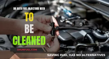 Fuel Injector Maintenance: To Clean or Not?