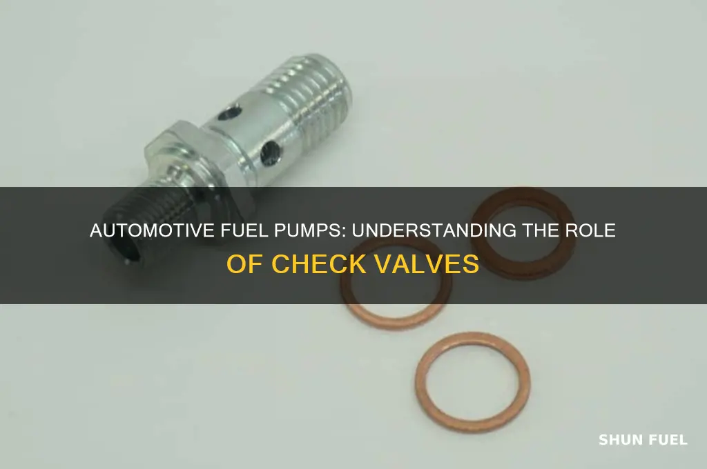do automotive fuel pumps have a check valve