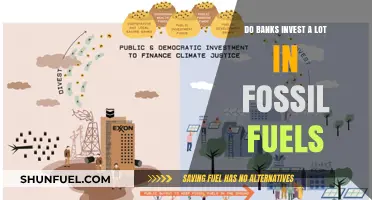 Fossil Fuel Funding: Banks' Investment Secrets Revealed