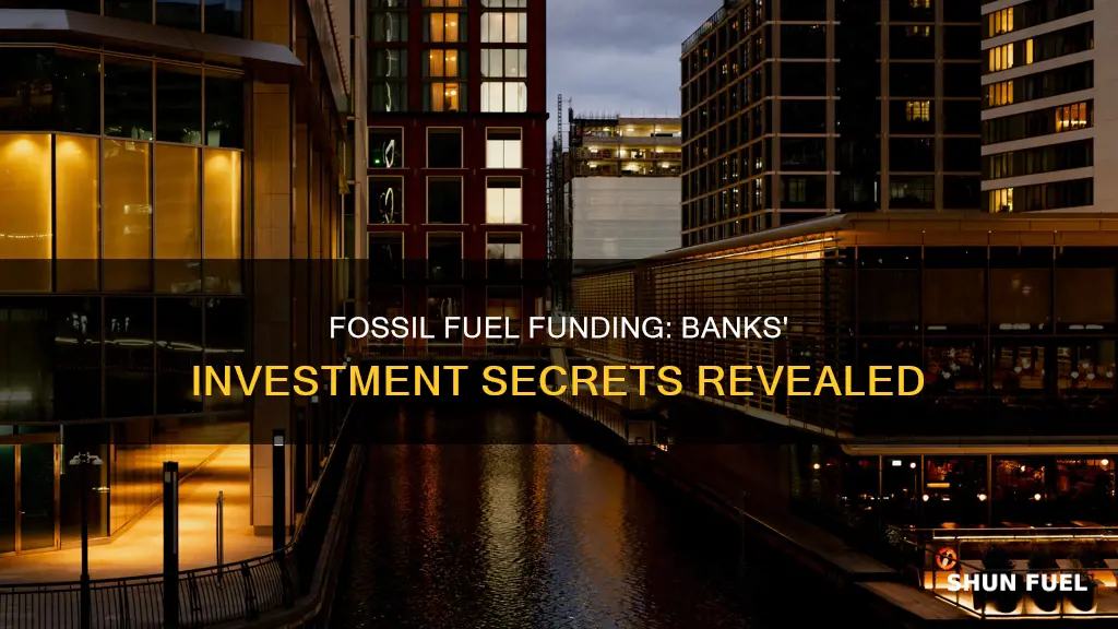do banks invest a lot in fossil fuels