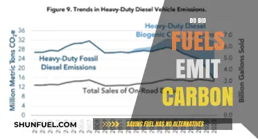 Biofuels and Carbon Emissions: Unraveling the Environmental Impact Debate