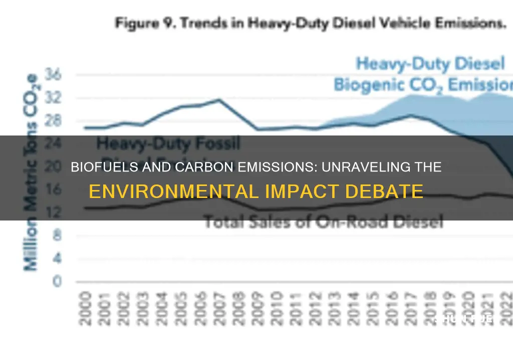 do bio fuels emit carbon