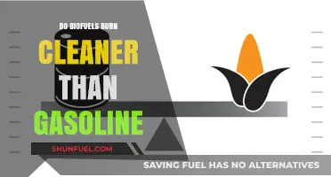 Exploring the Environmental Impact: Biofuels vs. Gasoline
