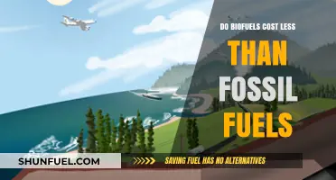 Biofuels: Cheaper Than Fossil Fuels?