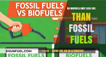Biofuels: A Cleaner Energy Alternative?