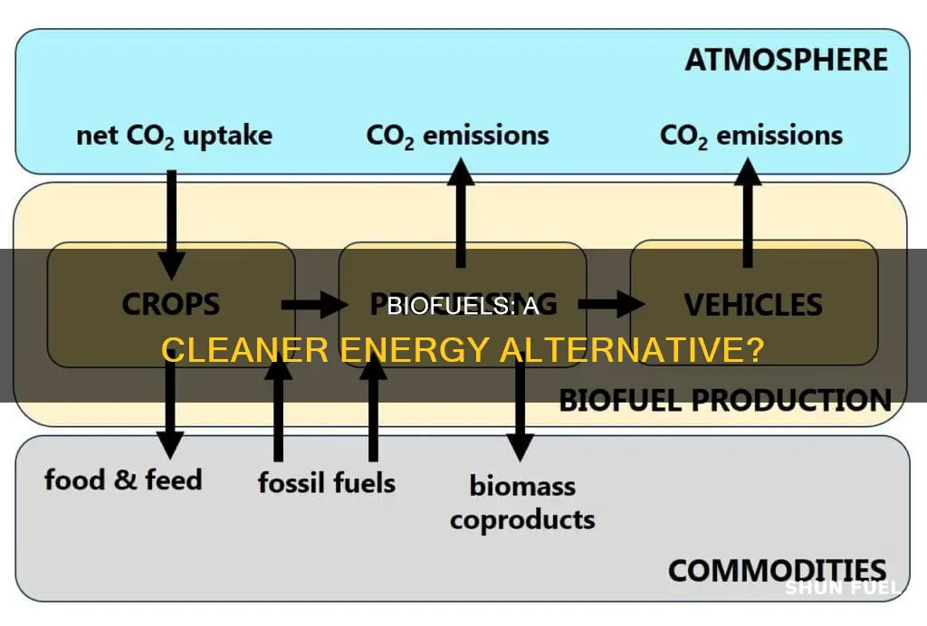 do biofuels emit less co2 than fossil fuels