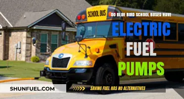 Blue Bird School Buses: Electric Fuel Pumps Explained