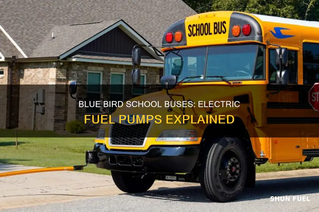 do blue bird school buses have electric fuel pumps