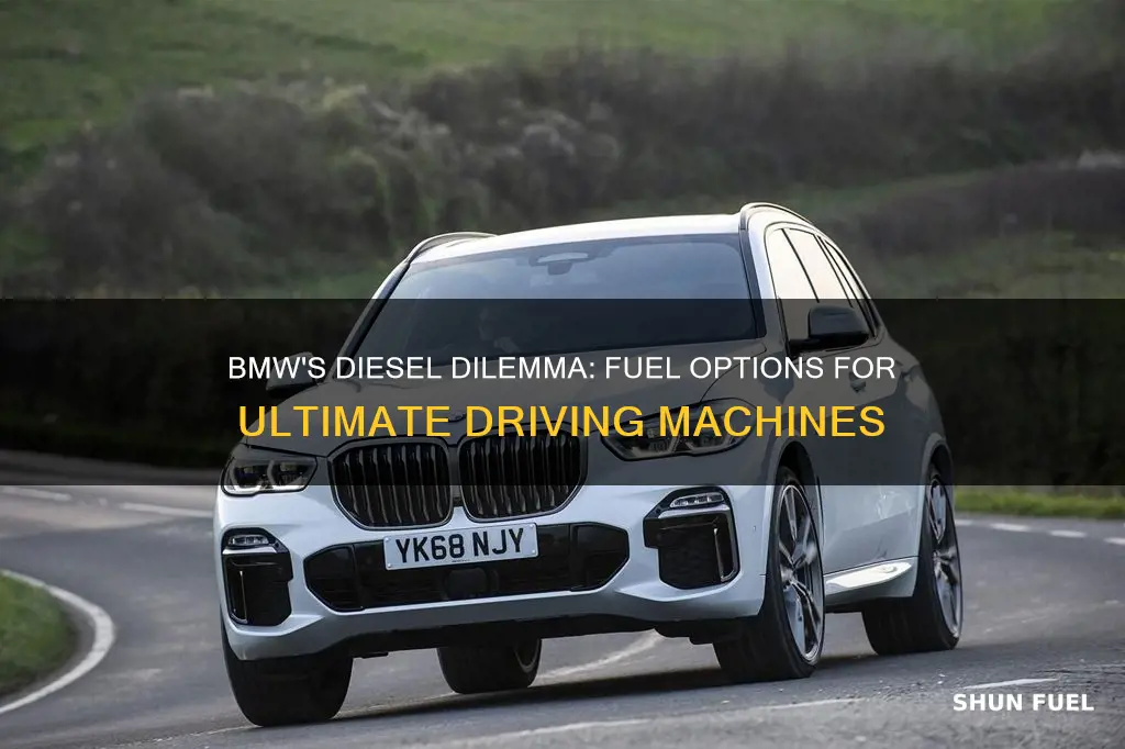 do bmw cars burn diesel fuel