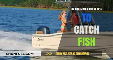 Fuel Efficiency in Fishing: How Much Do Boats Consume?
