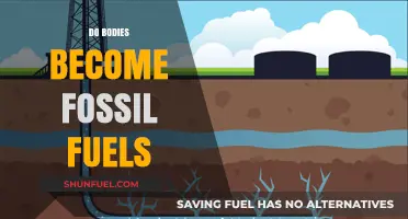 How Bodies Transform into Fossil Fuels