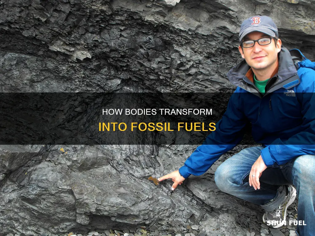 do bodies become fossil fuels