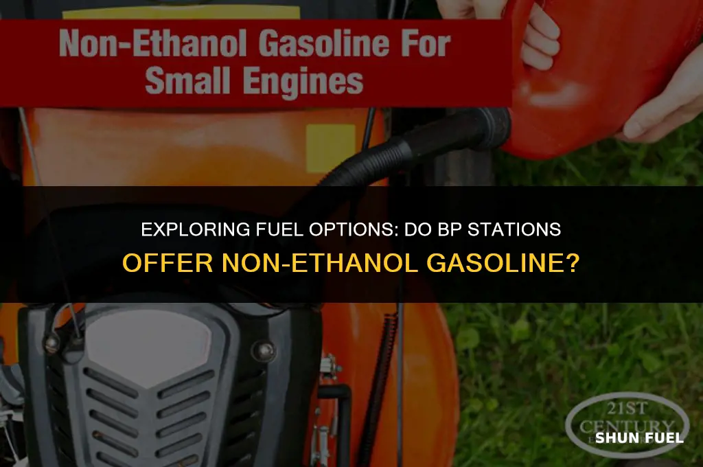 do bp stations sell non ethanol gasoline