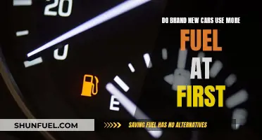 New Car Fuel: Initial Usage and Efficiency