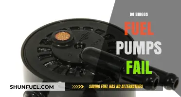 Why Briggs Fuel Pumps Fail: Common Causes and Prevention Tips