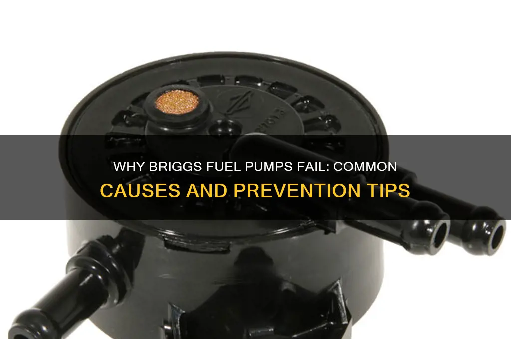 do briggs fuel pumps fail