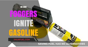 Exploring the Safety of Bug Foggers Near Gasoline: Facts and Myths