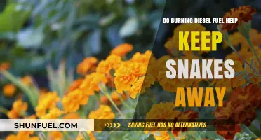 Burning Diesel: Snake Repellent or Myth?