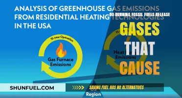 Fossil Fuels: Emitting Gases, Impacting Our Climate