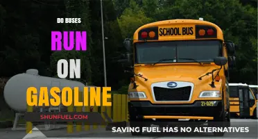 Exploring the Fuel Options: Do Buses Really Run on Gasoline?