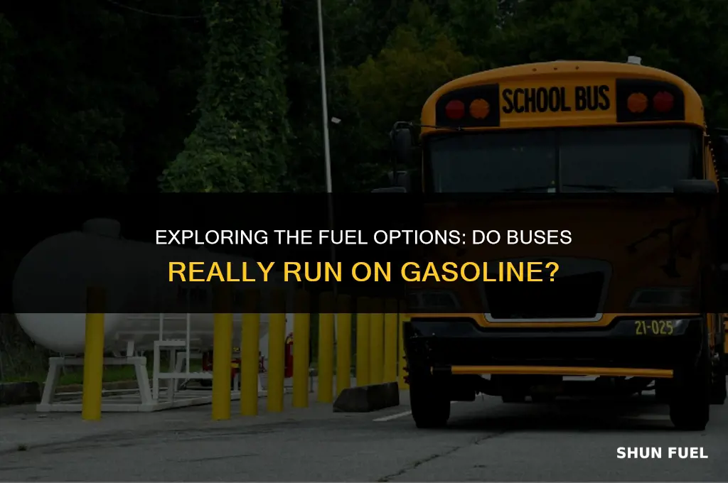 do buses run on gasoline