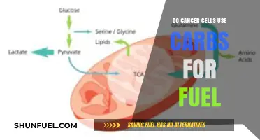 Cancer Cells and Carbohydrates: Unraveling Their Metabolic Fuel Connection