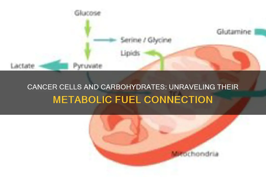 do cancer cells use carbs for fuel