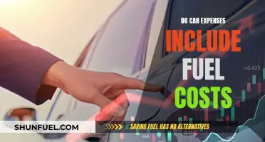 Car Expenses: Fuel Costs and More Explained