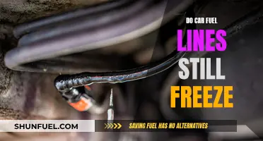 Fuel Line Freeze: A Concern for Car Owners?