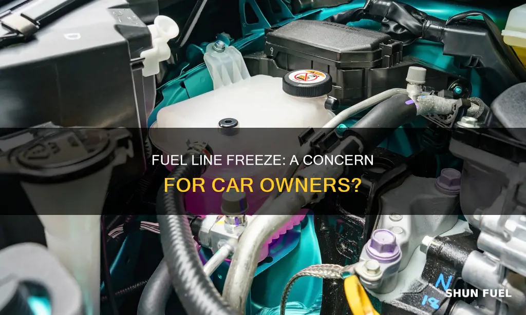 do car fuel lines still freeze