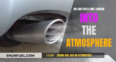 Car Fuels: Carbon Emitters or Climate Saviours?