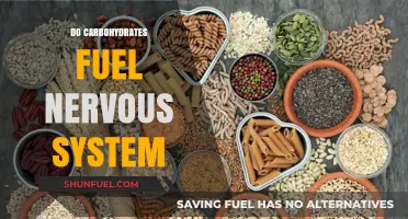 Carbohydrates and the Nervous System: Essential Fuel for Optimal Function
