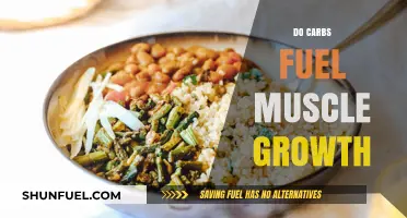 Carbs and Muscle Growth: Unlocking the Fuel for Strength Gains