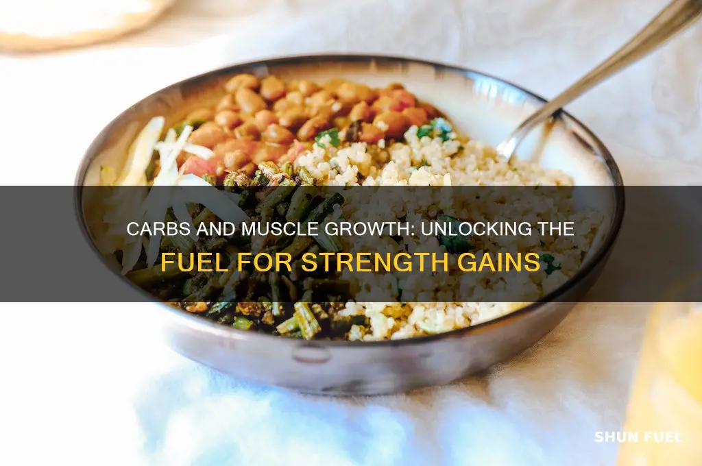 do carbs fuel muscle growth