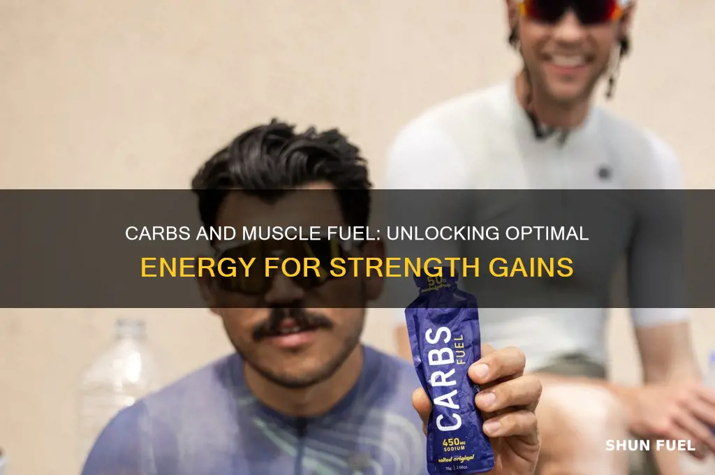do carbs fuel muscle