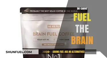 Carbs and Brain Power: Unlocking Cognitive Fuel for Optimal Function