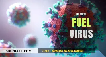 Carbs and Viruses: Unraveling the Role of Carbohydrates in Viral Fuel