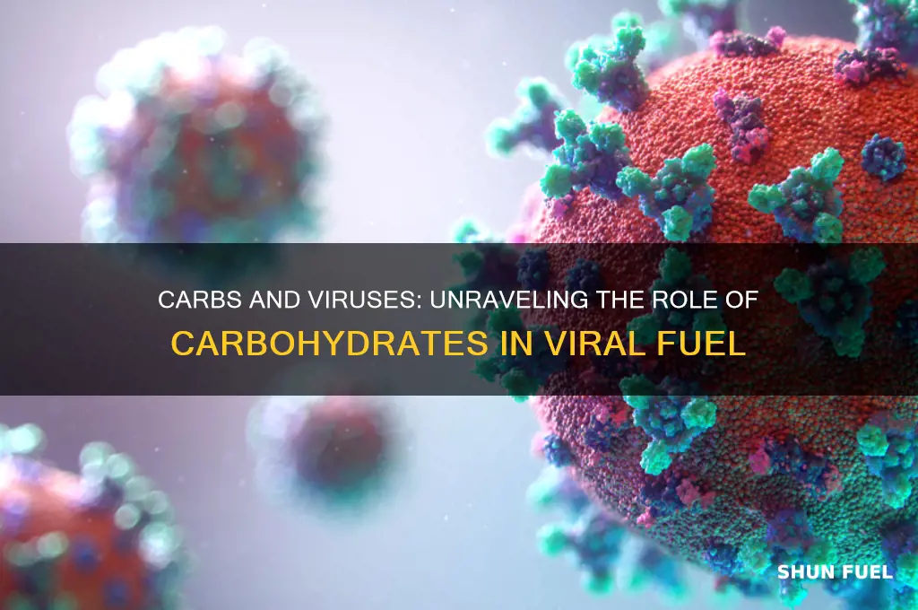 do carbs fuel virus